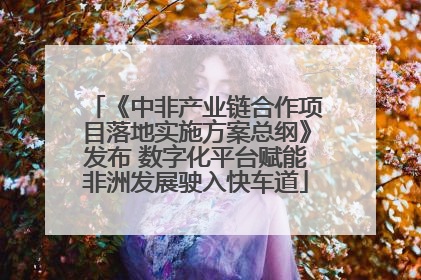 《中非产业链合作项目落地实施方案总纲》发布 数字化平台赋能非洲发展驶入快车道