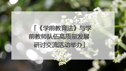 《学前教育法》与学前教师队伍高质量发展研讨交流活动举办