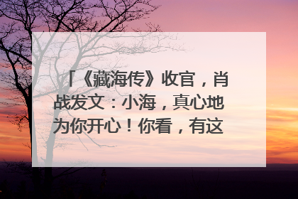 《藏海传》收官，肖战发文：小海，真心地为你开心！你看，有这么多人懂你！