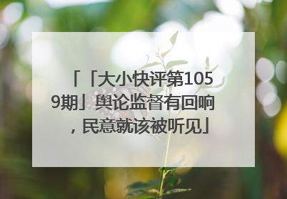 「大小快评第1059期」舆论监督有回响，民意就该被听见