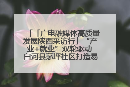 「广电融媒体高质量发展陕西采访行」“产业+就业”双轮驱动 白河县茅坪社区打造易地搬迁后扶新样本