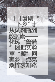 「暑期“三下乡”」从试剂瓶到数据流——化环“鲁诺”团把实验室“搬”回家乡，点亮桑梓求知路