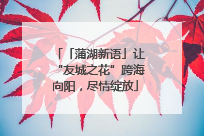 「蒲湖新语」让“友城之花”跨海向阳，尽情绽放