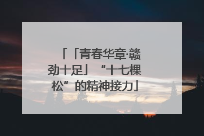「青春华章·赣劲十足」“十七棵松”的精神接力