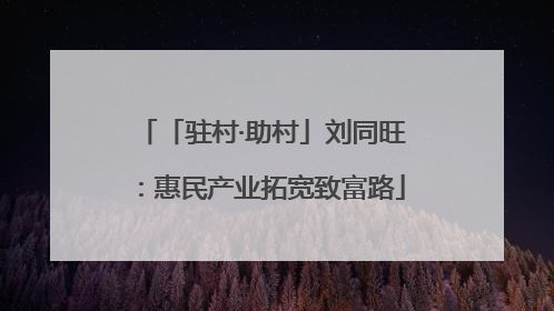 「驻村·助村」刘同旺：惠民产业拓宽致富路