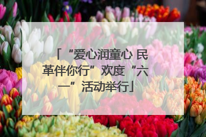 “爱心润童心 民革伴你行”欢度“六一”活动举行