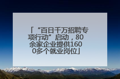 “百日千万招聘专项行动”启动，80余家企业提供1600多个就业岗位