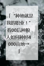 “种地就是我的职业！”看00后种粮人如何种好4000亩地→