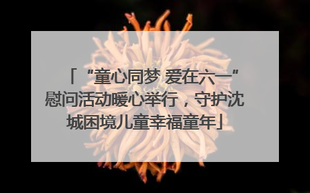 “童心同梦 爱在六一”慰问活动暖心举行，守护沈城困境儿童幸福童年