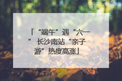 “端午”遇“六一” 长沙南站“亲子游”热度高涨