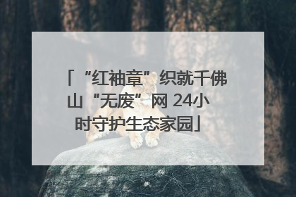 “红袖章”织就千佛山“无废”网 24小时守护生态家园
