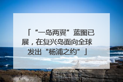 “一岛两翼”蓝图已展，在复兴岛面向全球发出“杨浦之约”