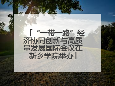 “一带一路”经济协同创新与高质量发展国际会议在新乡学院举办