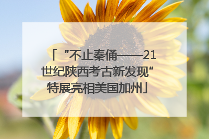 “不止秦俑——21世纪陕西考古新发现”特展亮相美国加州