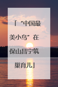 “中国最美小鸟”在保山昌宁筑巢育儿