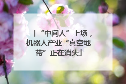 “中间人”上场，机器人产业“真空地带”正在消失