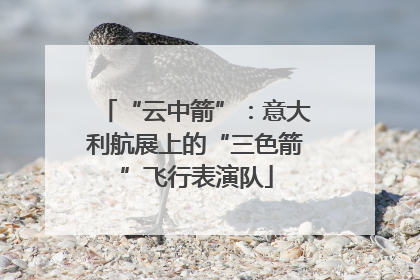“云中箭”：意大利航展上的“三色箭”飞行表演队