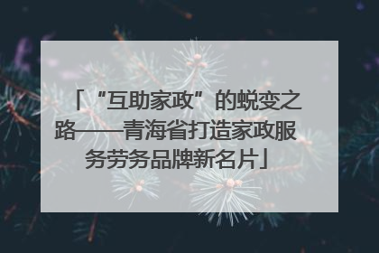 “互助家政”的蜕变之路——青海省打造家政服务劳务品牌新名片