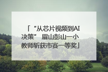 “从芯片视频到AI决策” 眉山彭山一小教师斩获市赛一等奖