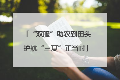“双服”助农到田头 护航“三夏”正当时