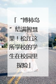 “博柿岛”结满智慧果！松江这所学校的学生在校园里探险