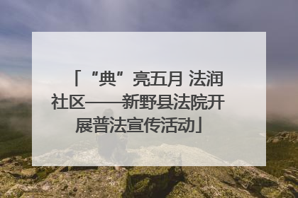 “典”亮五月 法润社区——新野县法院开展普法宣传活动
