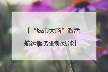 “城市大脑”激活航运服务业新动能