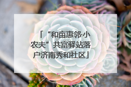 “和亩惠邻·小农夫”共富驿站落户济南秀和社区