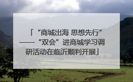 “商城出海 思想先行”——“双会”进商城学习调研活动在临沂顺利开展