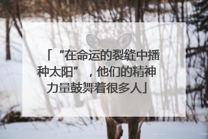 “在命运的裂缝中播种太阳”，他们的精神力量鼓舞着很多人
