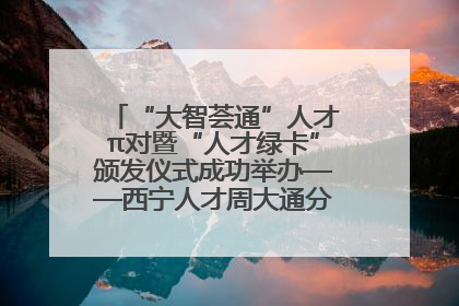 “大智荟通”人才π对暨“人才绿卡”颁发仪式成功举办——西宁人才周大通分会场亮点纷呈