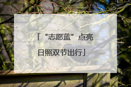 “志愿蓝”点亮日照双节出行