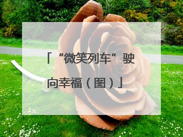 “微笑列车”驶向幸福（图）