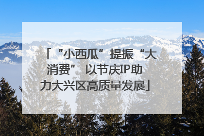 “小西瓜”提振“大消费” 以节庆IP助力大兴区高质量发展
