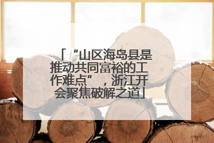 “山区海岛县是推动共同富裕的工作难点”，浙江开会聚焦破解之道