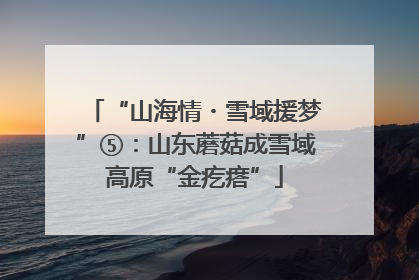 “山海情・雪域援梦”⑤：山东蘑菇成雪域高原“金疙瘩”