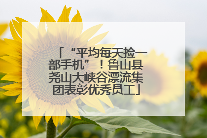 “平均每天捡一部手机”！鲁山县尧山大峡谷漂流集团表彰优秀员工