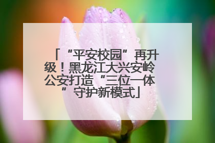 “平安校园”再升级！黑龙江大兴安岭公安打造“三位一体”守护新模式