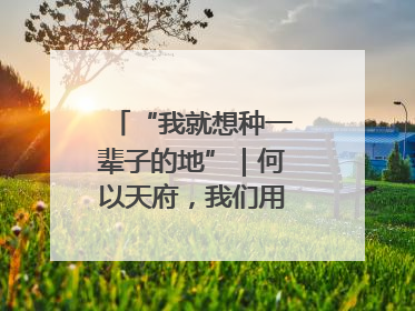 “我就想种一辈子的地”｜何以天府，我们用粮食作答②