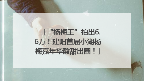 “杨梅王”拍出6.6万！建阳首届小湖杨梅嘉年华酸甜出圈！