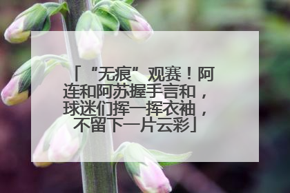 “无痕”观赛！阿连和阿苏握手言和，球迷们挥一挥衣袖，不留下一片云彩