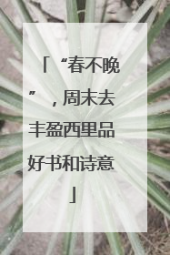 “春不晚”，周末去丰盈西里品好书和诗意