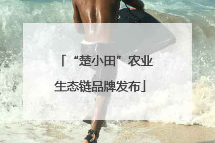 “楚小田”农业生态链品牌发布