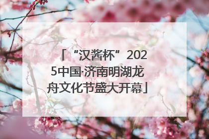 “汉酱杯”2025中国·济南明湖龙舟文化节盛大开幕