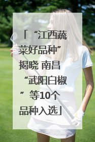 “江西蔬菜好品种”揭晓 南昌“武阳白椒”等10个品种入选