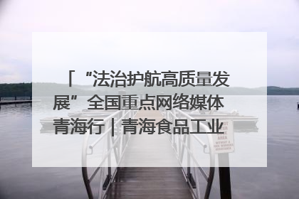 “法治护航高质量发展”全国重点网络媒体青海行｜青海食品工业协会：架起“青字号”美食的产业化桥梁