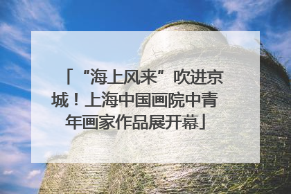 “海上风来”吹进京城！上海中国画院中青年画家作品展开幕