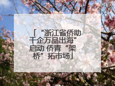 “浙江省侨助千企万品出海”启动 侨青“架桥”拓市场