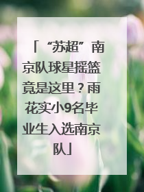 “苏超”南京队球星摇篮竟是这里？雨花实小9名毕业生入选南京队