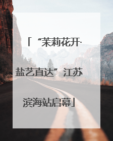 “茉莉花开·盐艺直达”江苏滨海站启幕